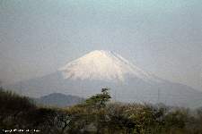 Mt. Fuji from Yoko